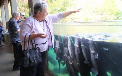 Texas Fisheries Trip, November 2, 2011