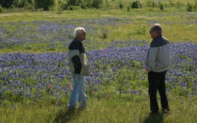 Bluebonnet Festival in Ennis, April 21, 2012