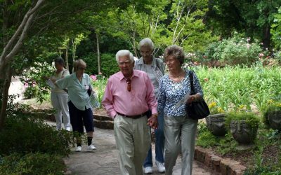 Clark Gardens, May 11, 2010