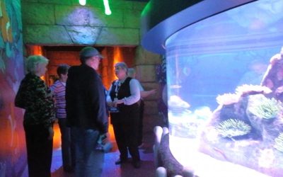 Sea Life Aquarium Tour, February 22, 2012