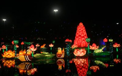 Chinese Lantern Festival, January 2, 2014