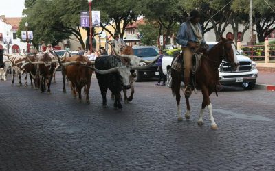 Fort Worth Stockyards Historic District, October 10, 2014