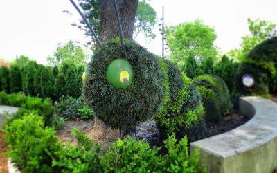 A green caterpillar greets us at the Children’s Garden at the Dallas Arboretum, May 2015.