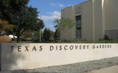 Texas Discovery Garden