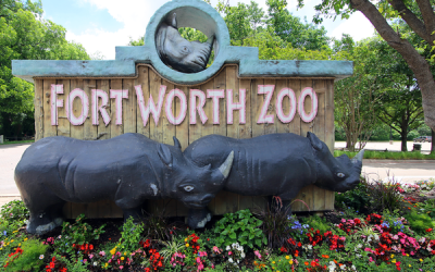 Fort Worth Zoo Trip, November, 2015