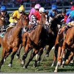 lone-star-horse-racing