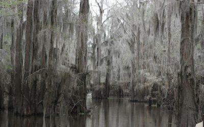 Jefferson and Caddo Lake Tour, April, 2016
