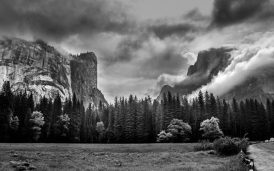 2016 OMOT winner — “Yosemite” by Shashank Dabral