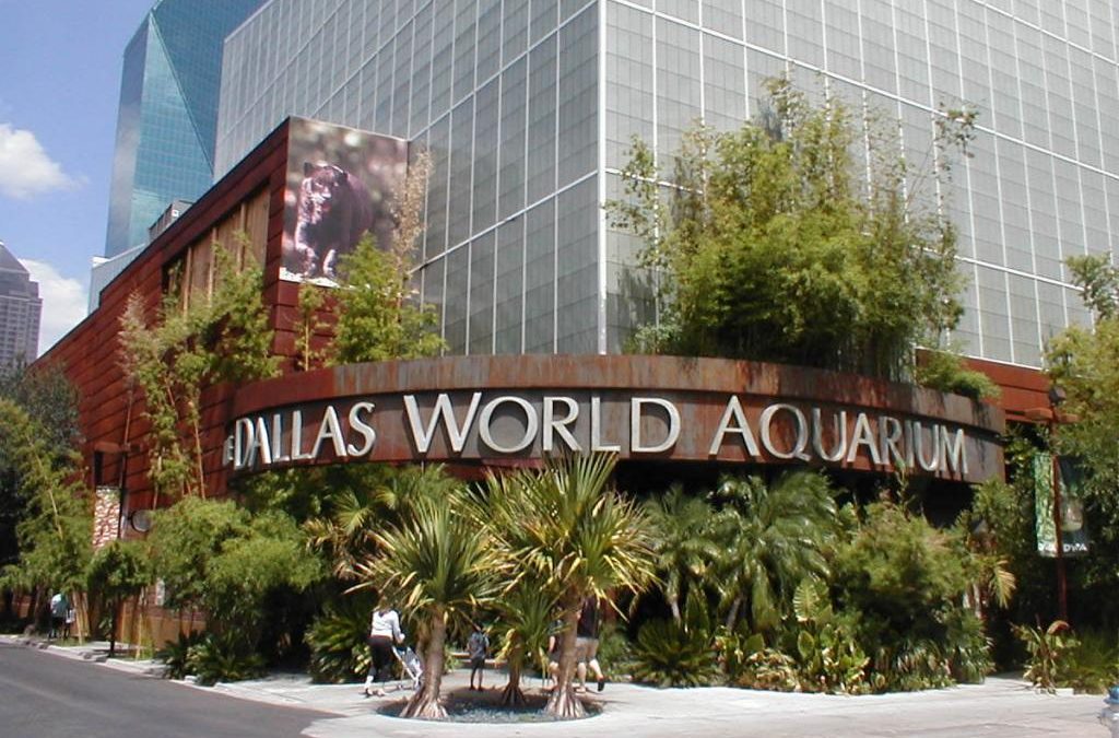 dallas-world-aquarium